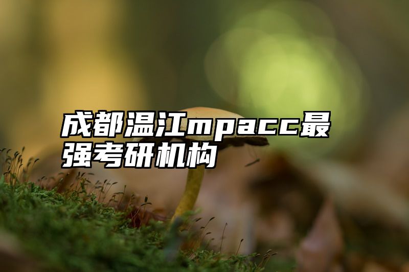成都温江mpacc最强考研机构