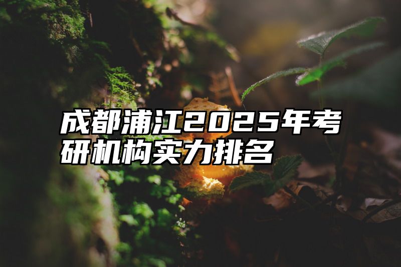 成都浦江2025年考研机构实力排名