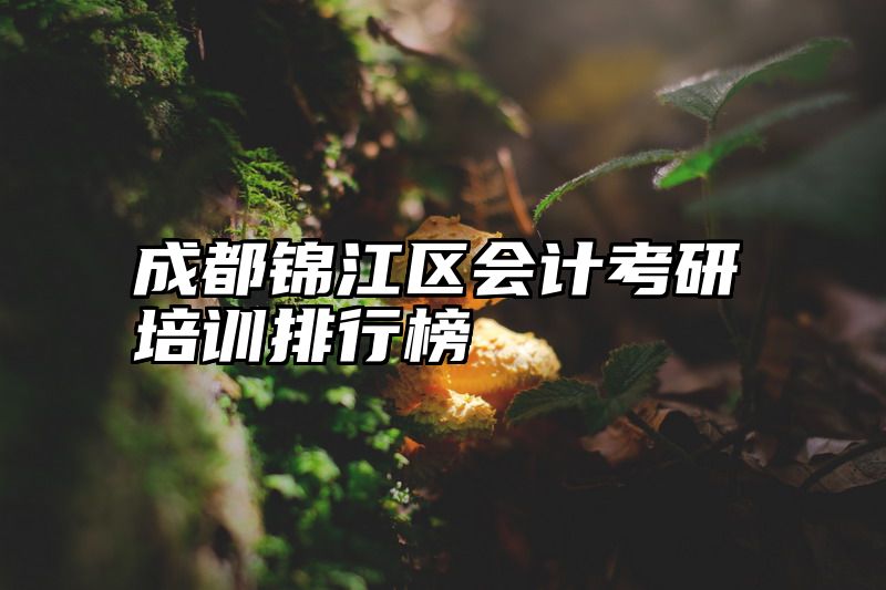 成都锦江区会计考研培训排行榜