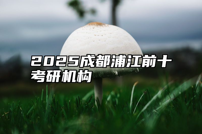 2025成都浦江前十考研机构