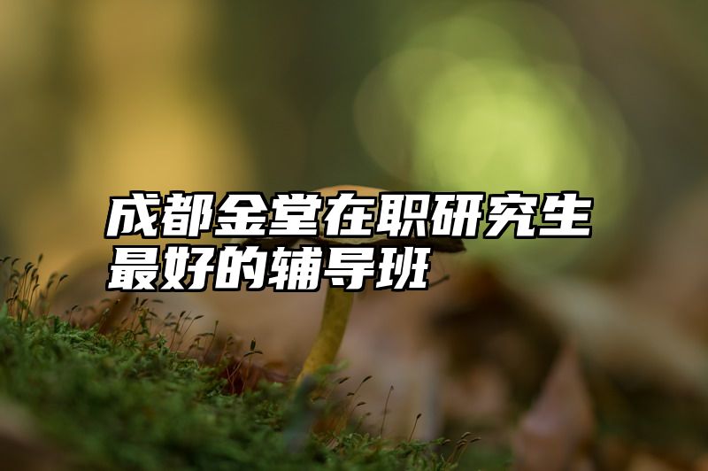 成都金堂在职研究生最好的辅导班