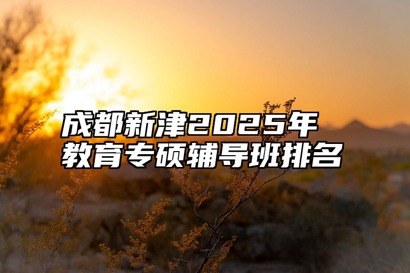 成都新津2025年教育专硕辅导班排名