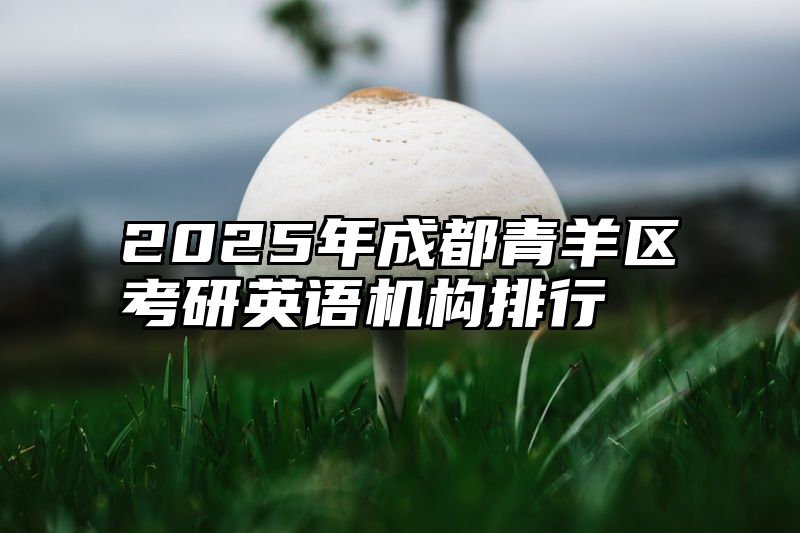 2025年成都青羊区考研英语机构排行
