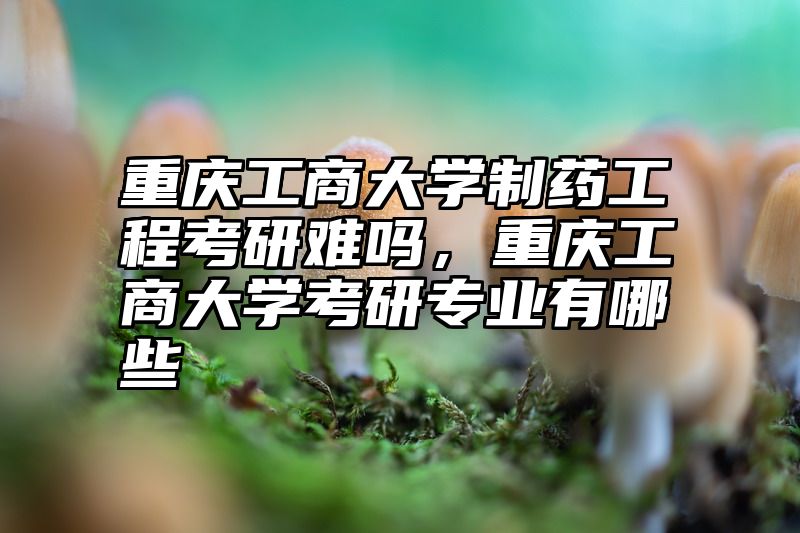 重庆工商大学制药工程考研难吗，重庆工商大学考研专业有哪些