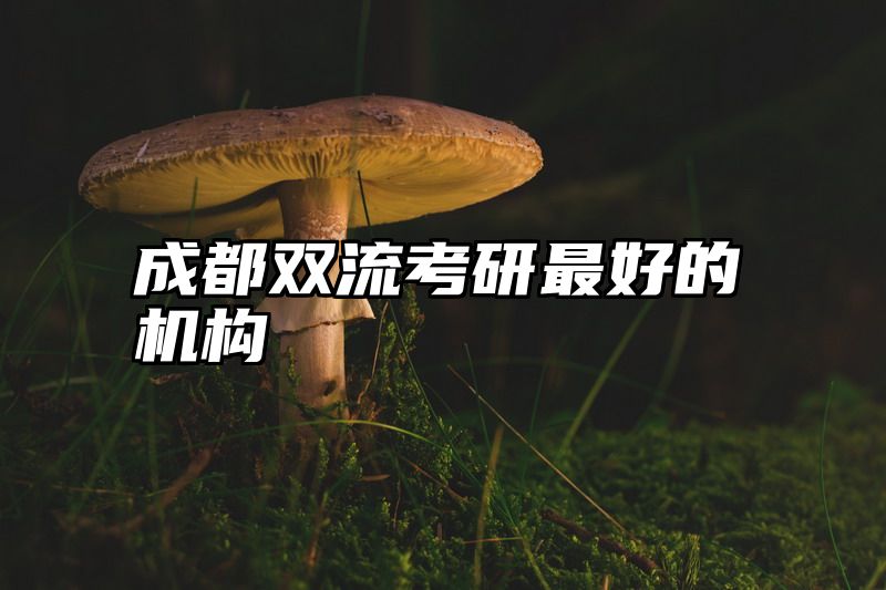 成都双流考研最好的机构