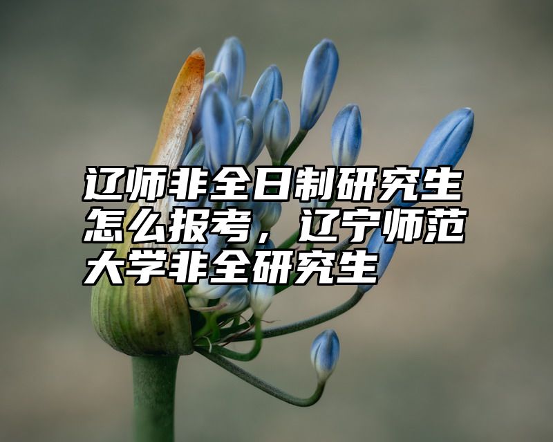 辽师非全日制研究生怎么报考，辽宁师范大学非全研究生