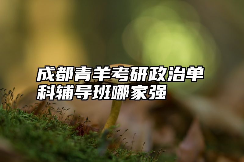 成都青羊考研政治单科辅导班哪家强