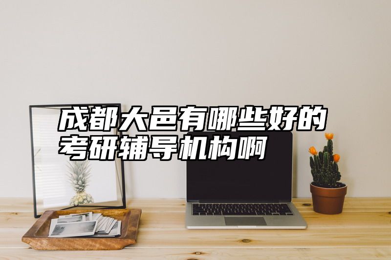 成都大邑有哪些好的考研辅导机构啊