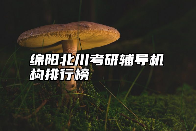 绵阳北川考研辅导机构排行榜