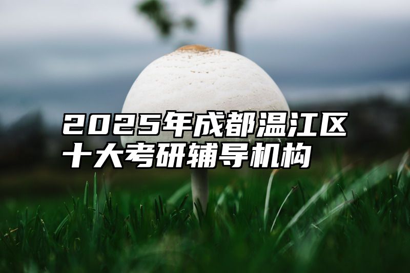 2025年成都温江区十大考研辅导机构