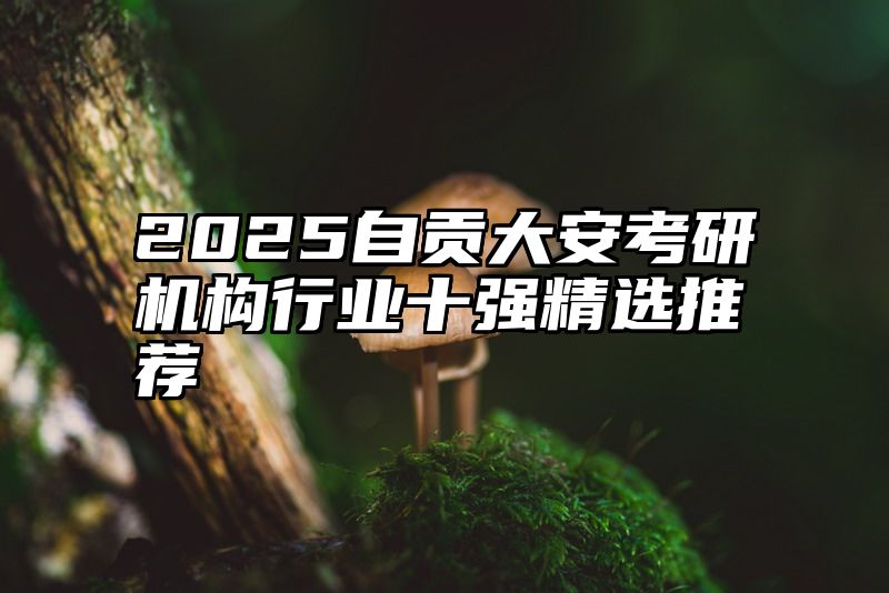 2025自贡大安考研机构行业十强精选推荐