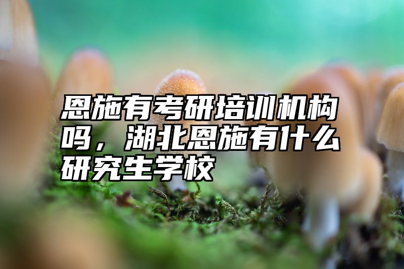 恩施有考研培训机构吗，湖北恩施有什么研究生学校