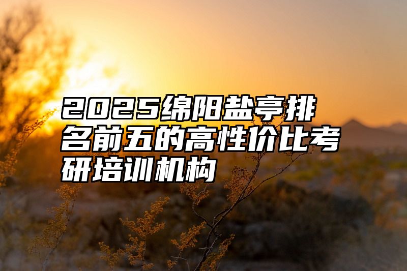 2025绵阳盐亭排名前五的高性价比考研培训机构