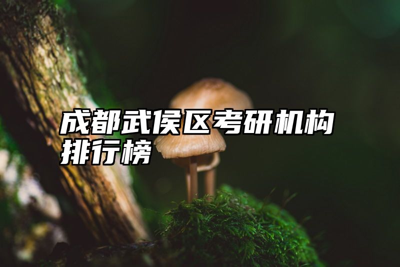 成都武侯区考研机构排行榜