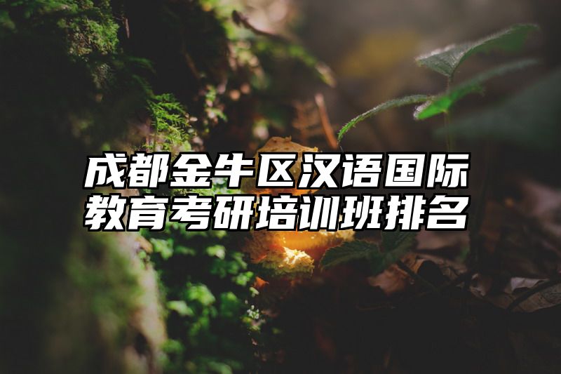 成都金牛区汉语国际教育考研培训班排名