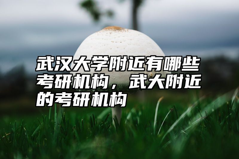 武汉大学附近有哪些考研机构，武大附近的考研机构