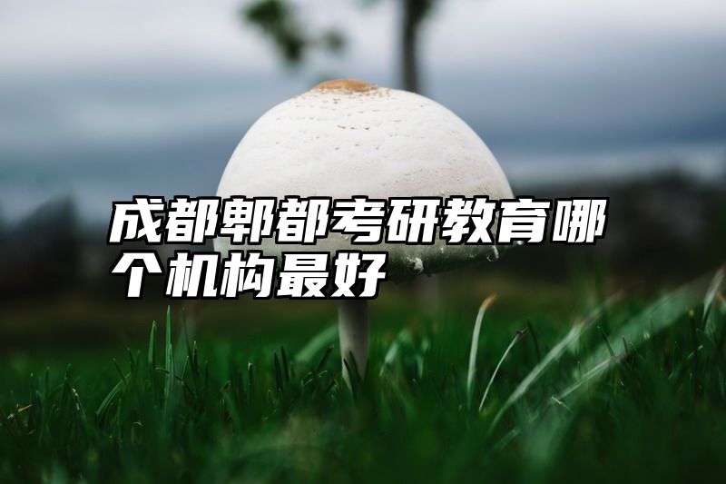 成都郫都考研教育哪个机构最好