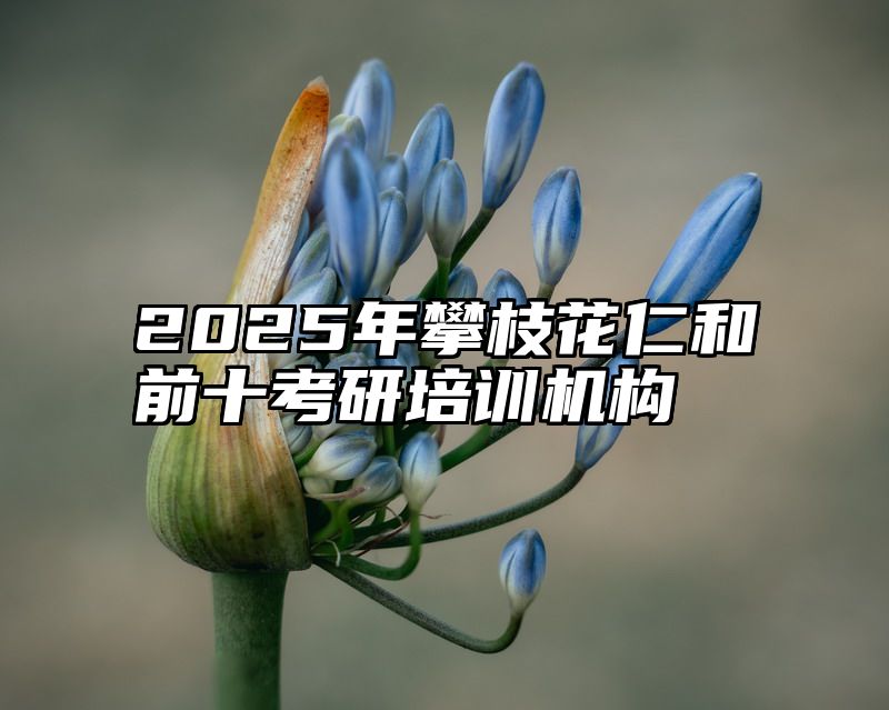 2025年攀枝花仁和前十考研培训机构