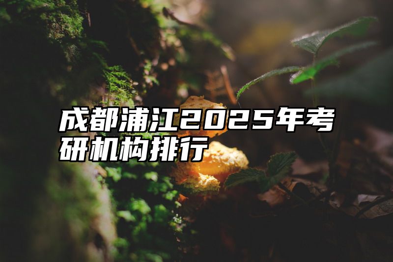 成都浦江2025年考研机构排行