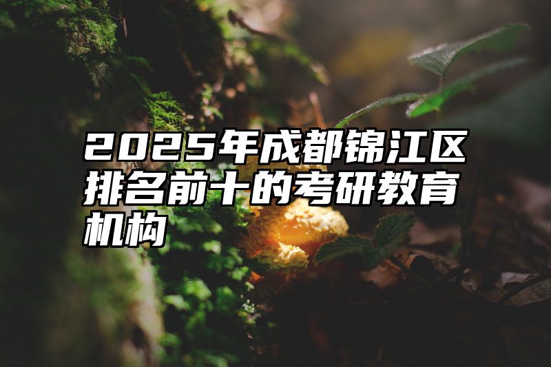 2025年成都锦江区排名前十的考研教育机构