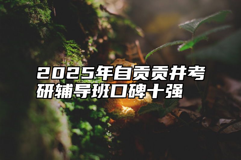 2025年自贡贡井考研辅导班口碑十强