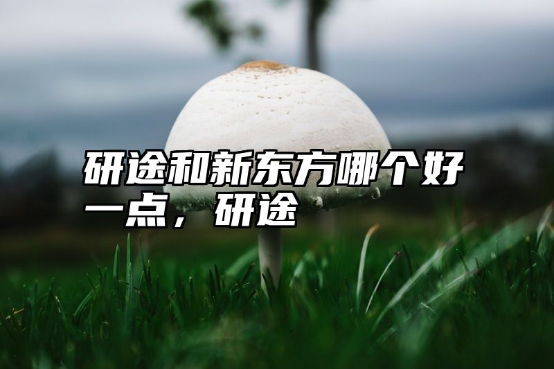 研途和新东方哪个好一点，研途