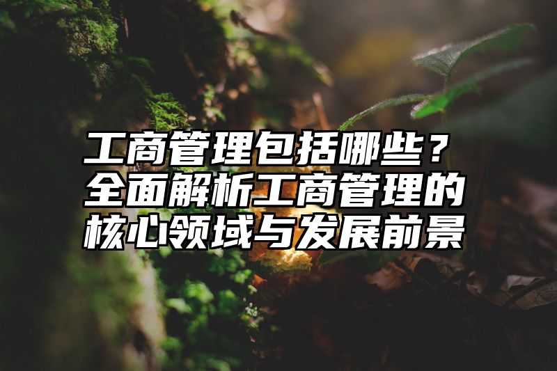 工商管理包括哪些？全面解析工商管理的核心领域与发展前景