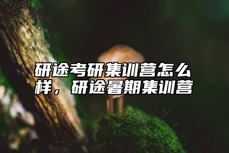 研途考研集训营怎么样，研途暑期集训营
