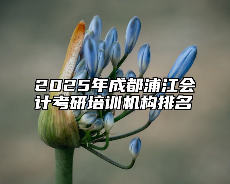 2025年成都浦江会计考研培训机构排名