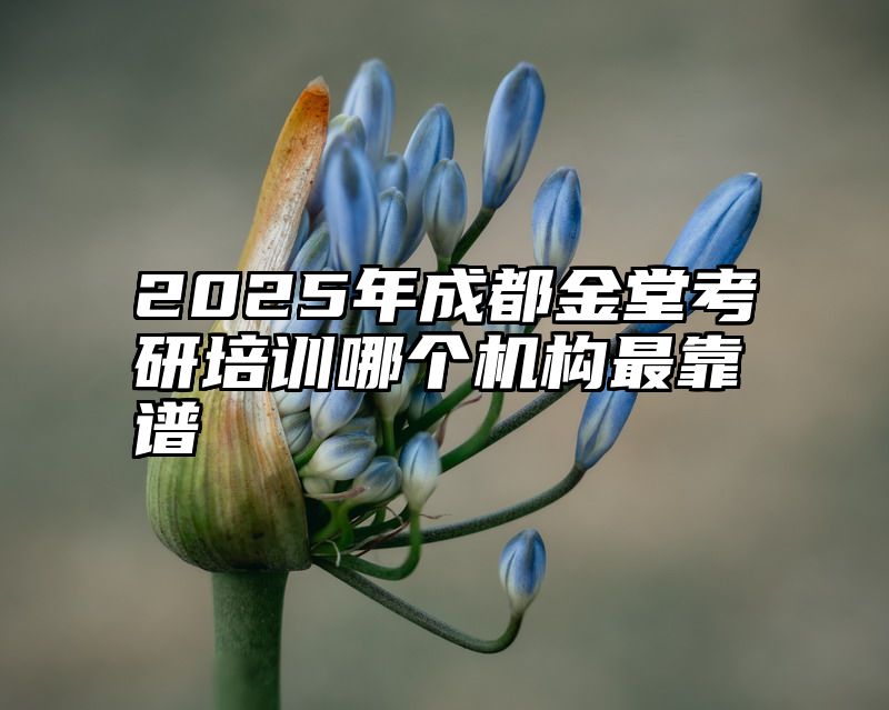 2025年成都金堂考研培训哪个机构最靠谱