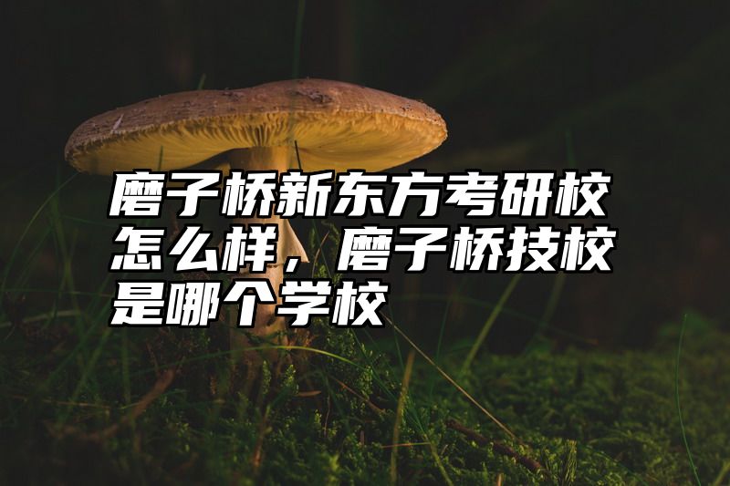 磨子桥新东方考研校怎么样，磨子桥技校是哪个学校