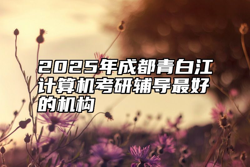 2025年成都青白江计算机考研辅导最好的机构