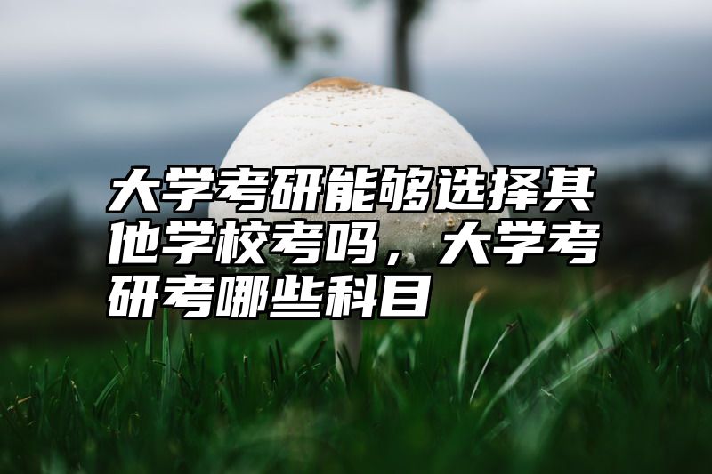 大学考研能够选择其他学校考吗，大学考研考哪些科目