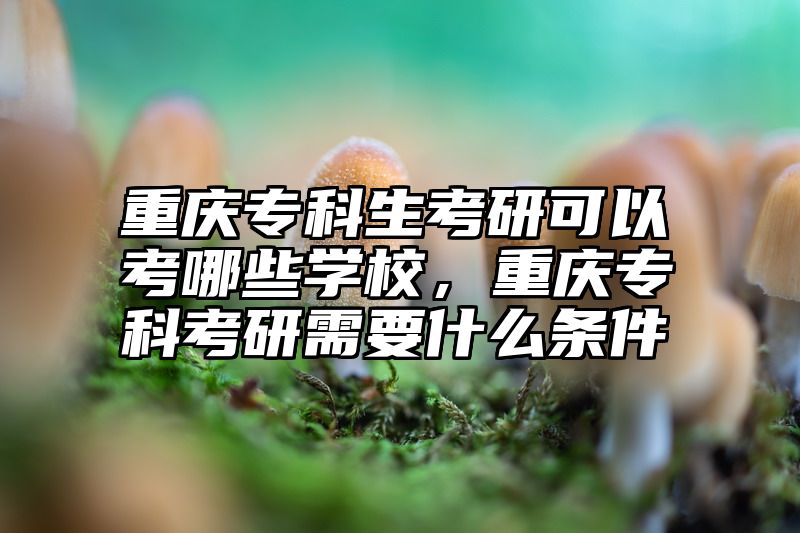 重庆专科生考研可以考哪些学校，重庆专科考研需要什么条件