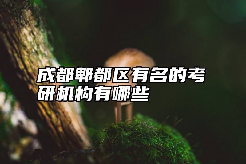 成都郫都区有名的考研机构有哪些