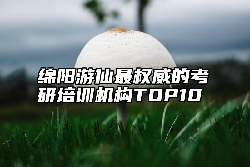 绵阳游仙最权威的考研培训机构TOP10