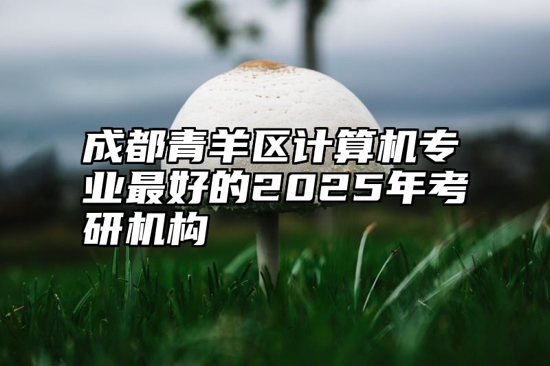 成都青羊区计算机专业最好的2025年考研机构