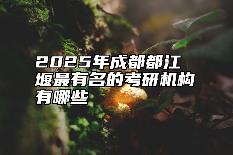 2025年成都都江堰最有名的考研机构有哪些