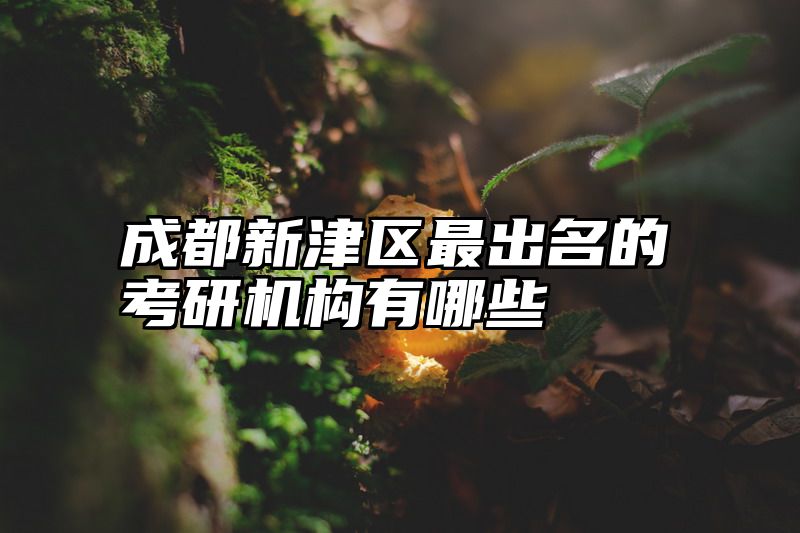 成都新津区最出名的考研机构有哪些