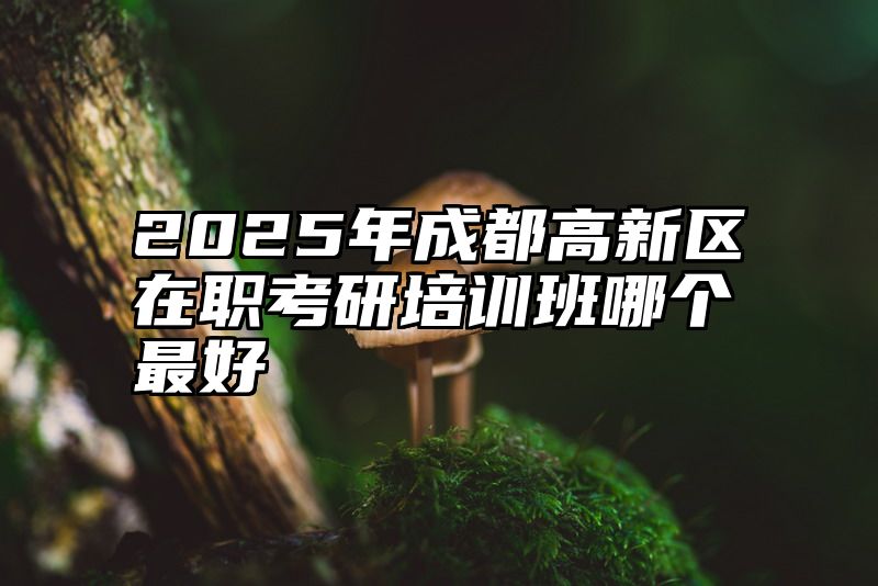 2025年成都高新区在职考研培训班哪个最好