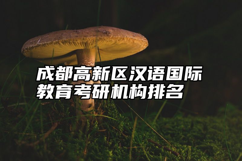 成都高新区汉语国际教育考研机构排名
