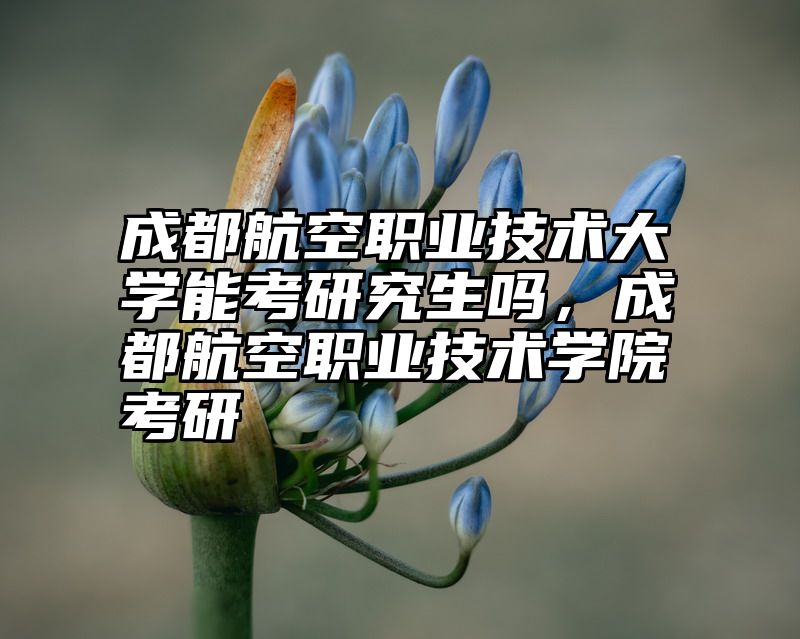 成都航空职业技术大学能考研究生吗，成都航空职业技术学院考研
