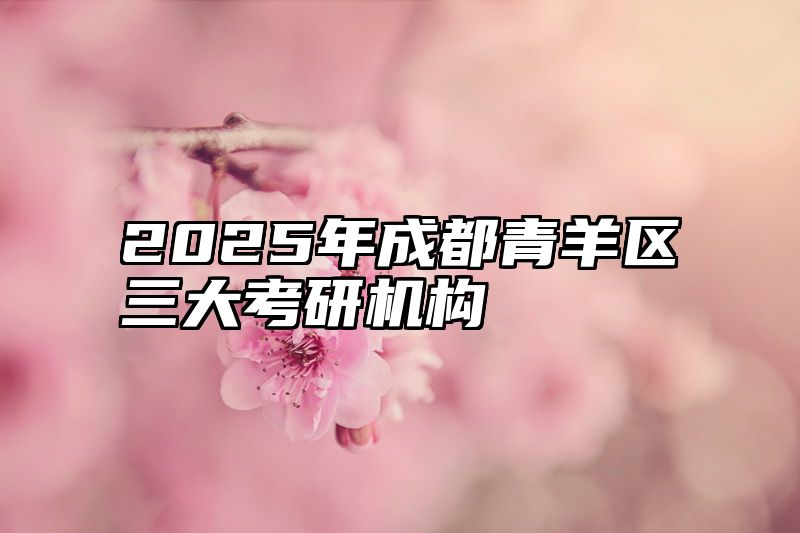 2025年成都青羊区三大考研机构