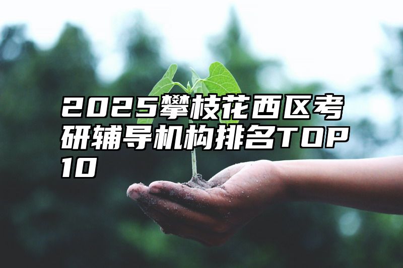 2025攀枝花西区考研辅导机构排名TOP10