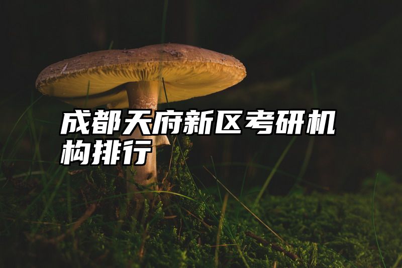 成都天府新区考研机构排行