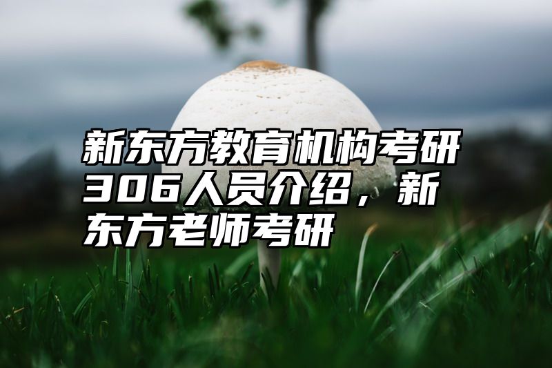 新东方教育机构考研306人员介绍，新东方老师考研