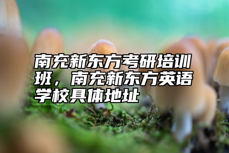 南充新东方考研培训班，南充新东方英语学校具体地址