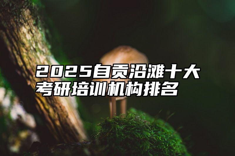 2025自贡沿滩十大考研培训机构排名