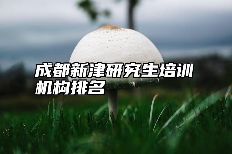 成都新津研究生培训机构排名