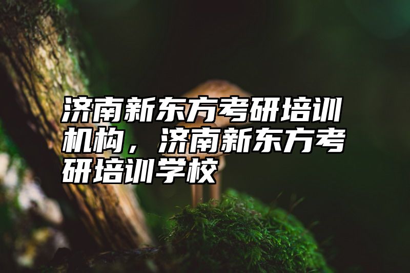 济南新东方考研培训机构，济南新东方考研培训学校